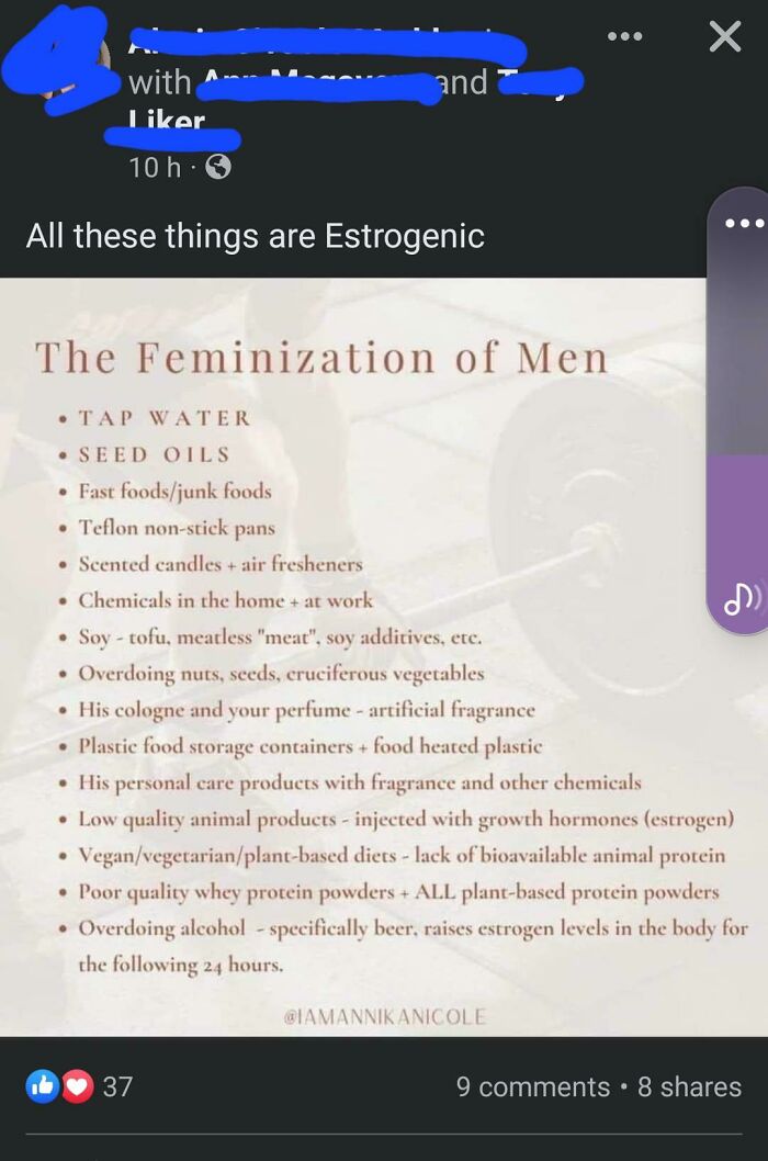 List of factors contributing to the feminization of men and estrogen sources