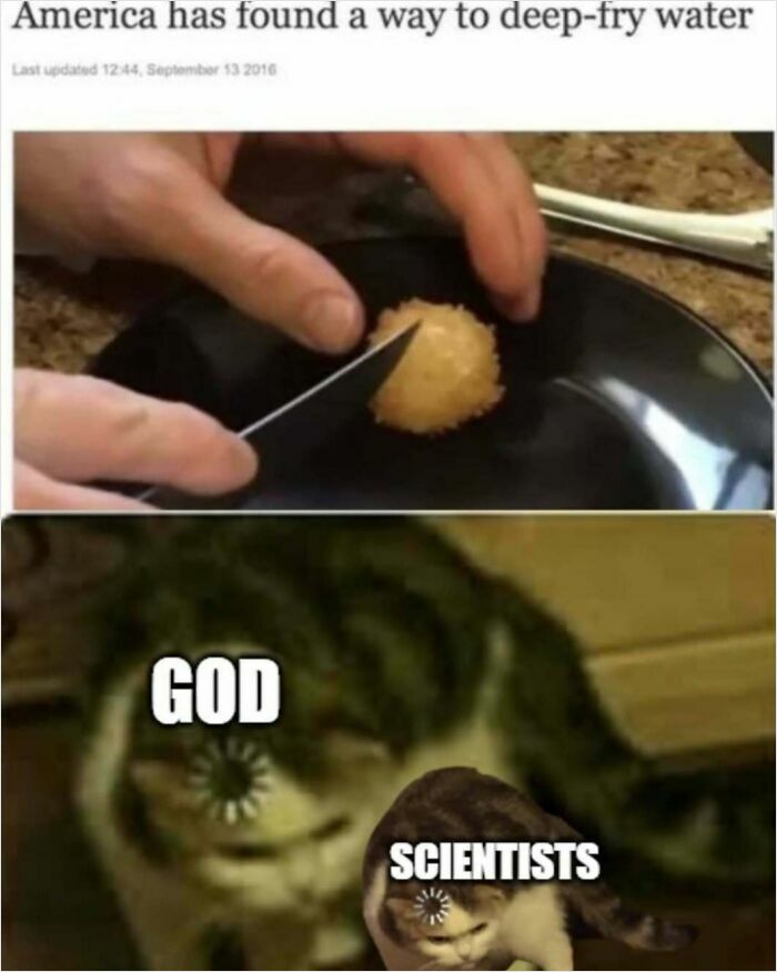 Meme about America deep-frying water showing fried ball and focused cats labeled God and scientists