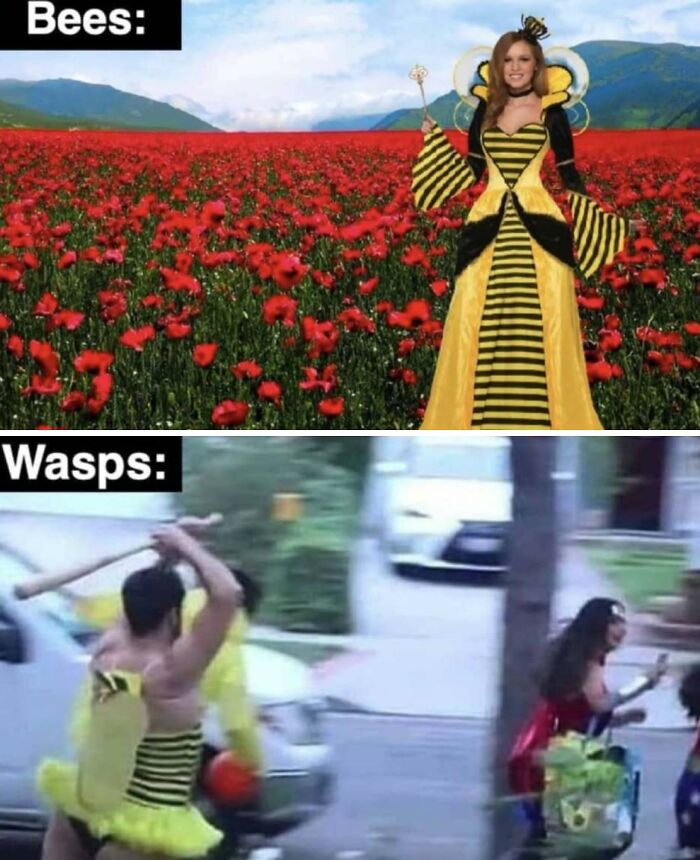Comparison meme between bees and wasps with people in bee costumes