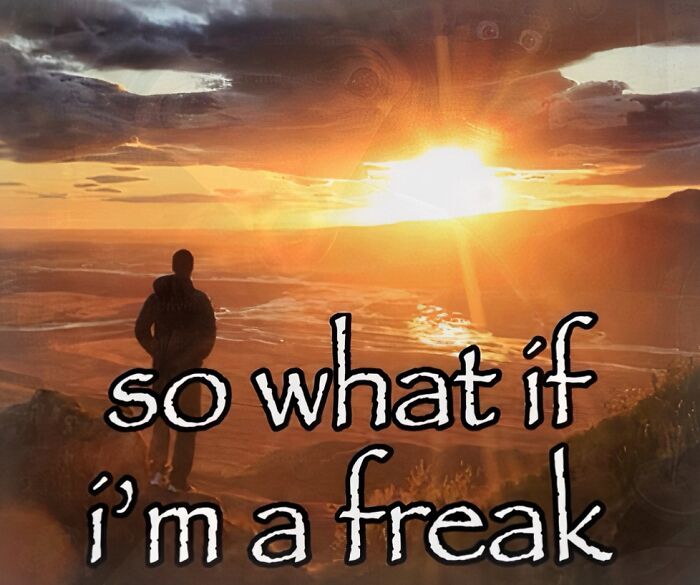 Meme with person watching sunset and text about being a freak cringe