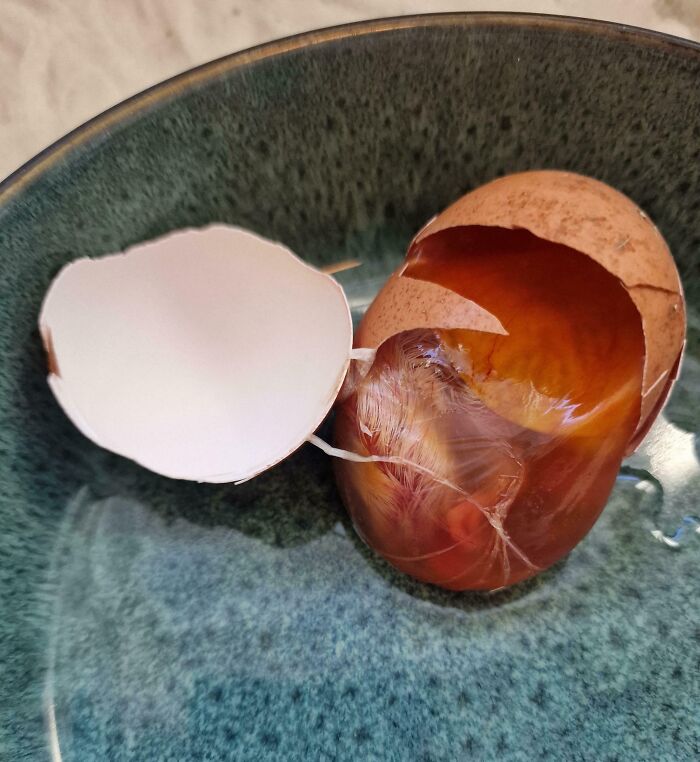 Cracked egg shell on bowl with unusual translucent membrane inside