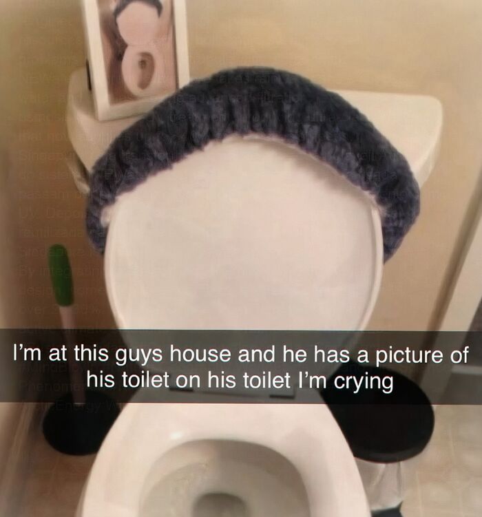 Cringe photo of toilet with a picture of same toilet on lid