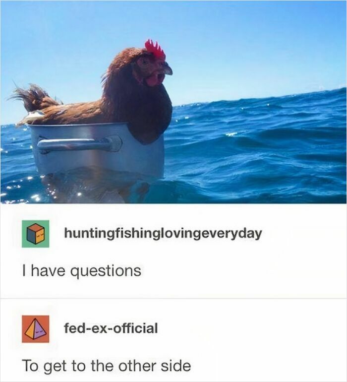 Chicken sitting in a pot in the ocean with meme comments