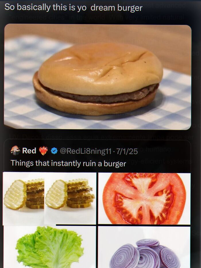 Cringe meme about things that instantly ruin a burger including pickles tomato lettuce onion