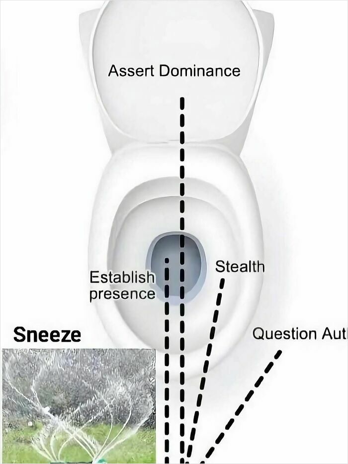Diagram of toilet spray directions labeled sneeze and assert dominance