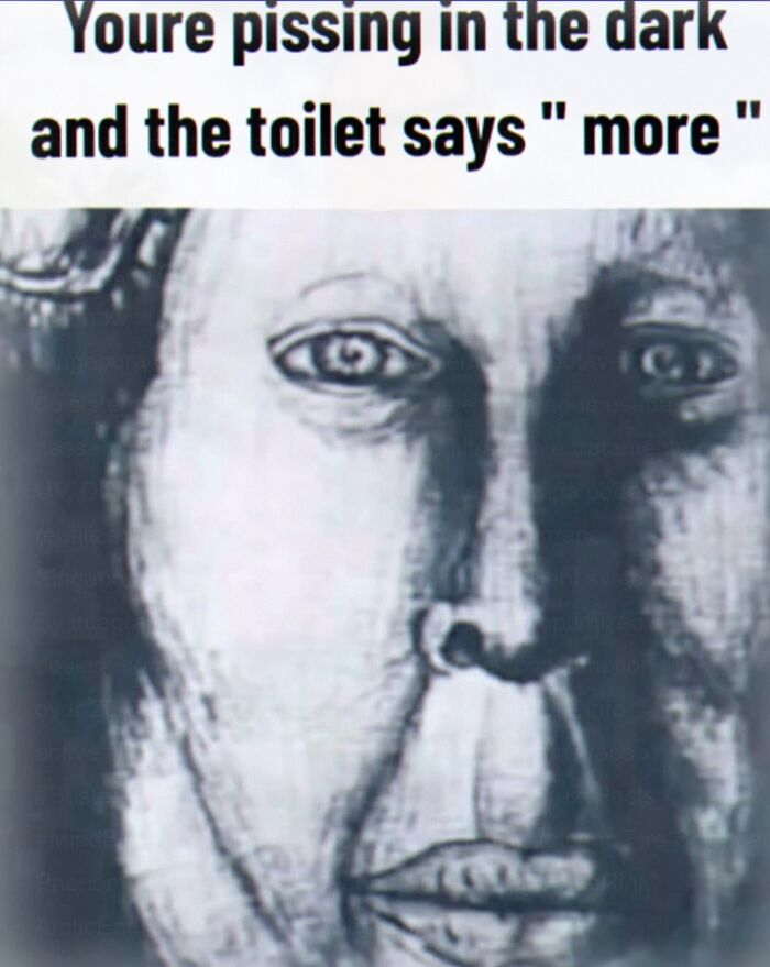 Creepy face meme about pissing in the dark and toilet humor