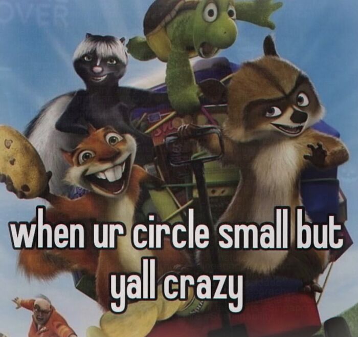 Animated meme about a small but crazy friend circle