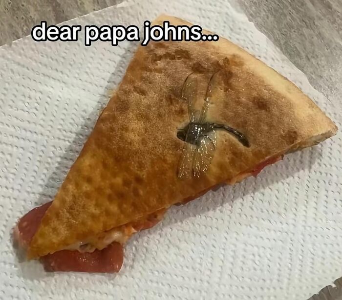 Slice of pizza with a d**d insect and caption mentioning Papa Johns pizza