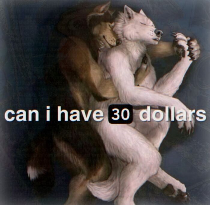 Cringe meme of two hugging anthropomorphic wolves with money request