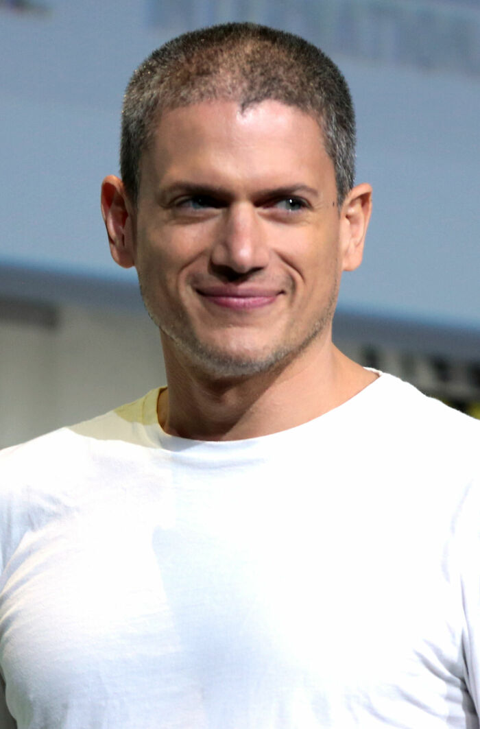 American Actor and Screenwriter Wentworth Miller, 54