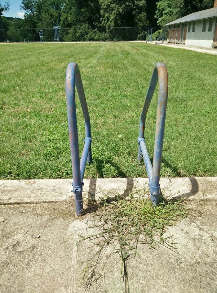 Rusty blue handrails overgrown with grass at forgotten urban park