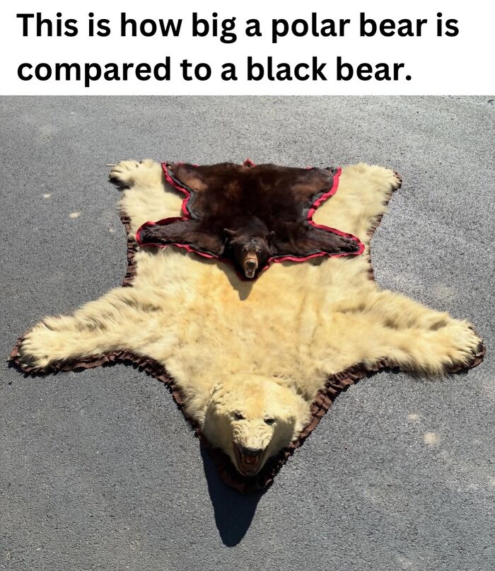 This Instagram Page With Over 700k Followers Shares The Internet’s Most Mind Bending Photos