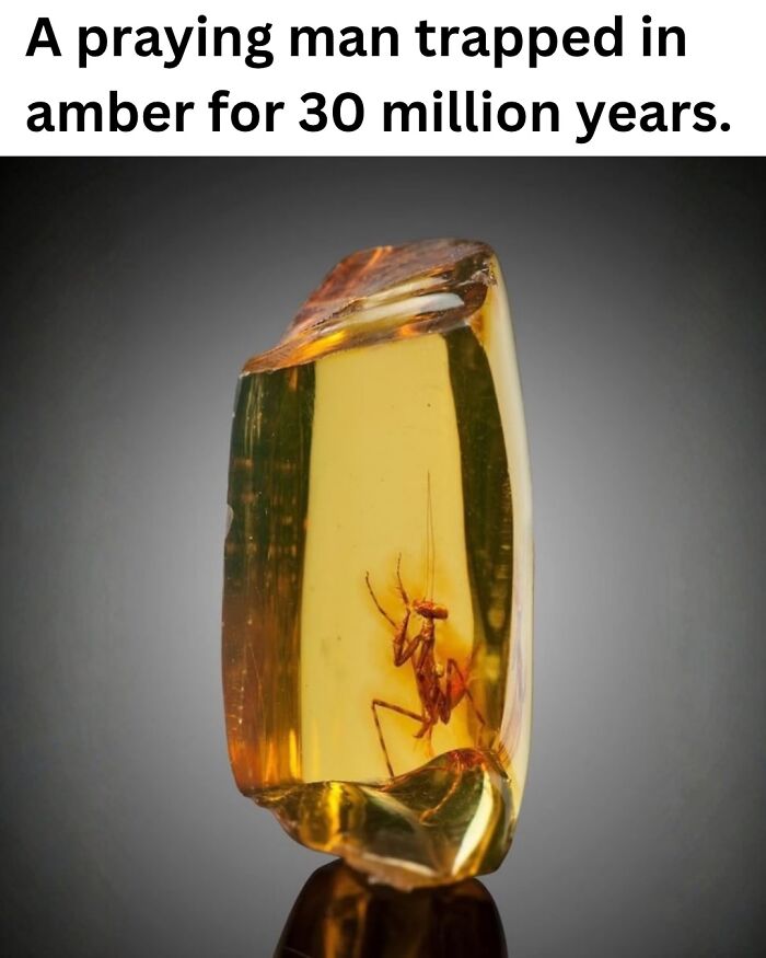 This Instagram Page With Over 700k Followers Shares The Internet’s Most Mind Bending Photos