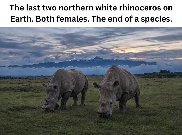 This Instagram Page With Over 700k Followers Shares The Internet’s Most Mind Bending Photos