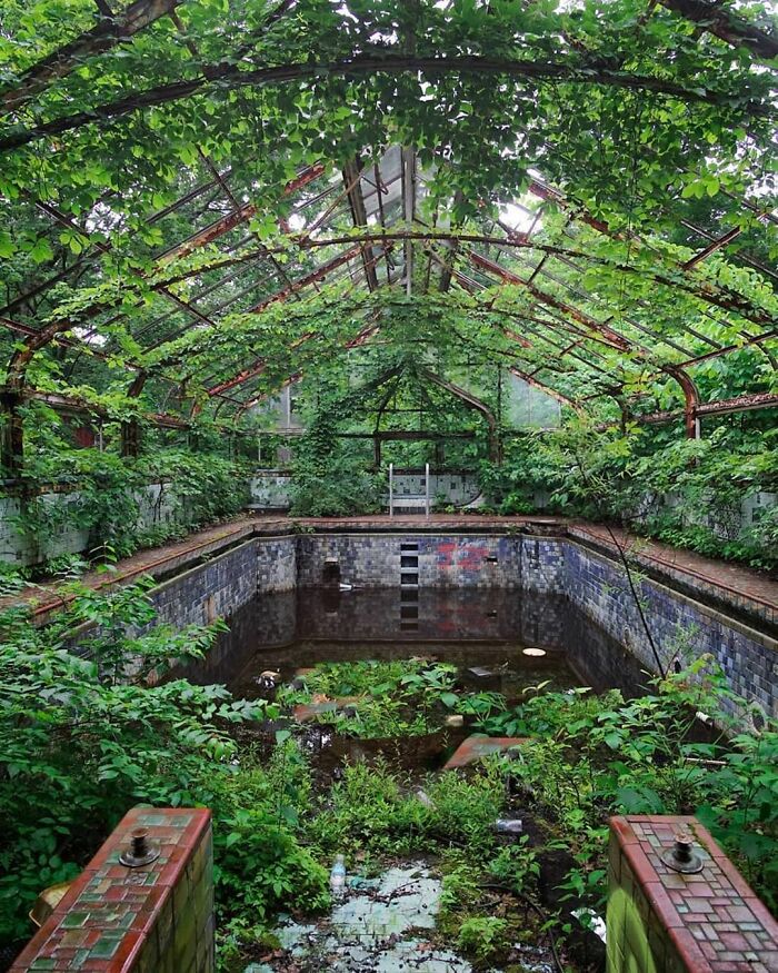 Overgrown abandoned greenhouse with plants taking over