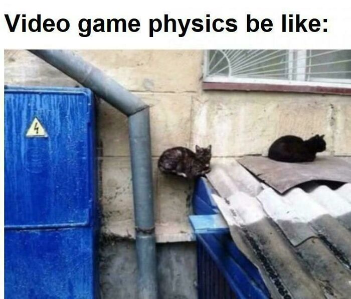Photo of cats defying gravity illustrating funny video game physics meme