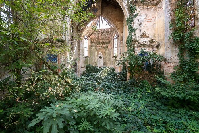 Aerial view of ruined castle surrounded by dense forest urban exploration