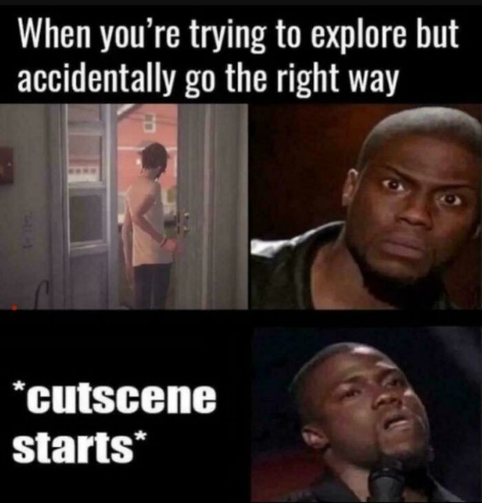 Gaming meme about accidentally choosing the right path and triggering a cutscene