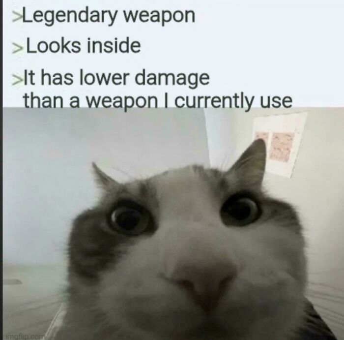 Gamer meme about legendary weapons with lower damage featuring a cat close-up