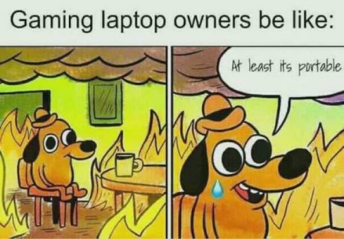 Gaming laptop owner dog in burning room saying at least it's portable meme
