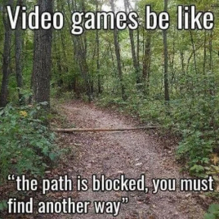 Video games meme showing a forest path blocked with text about finding another way