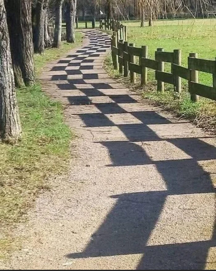 Checkerboard shadows on path creating visual illusion of design