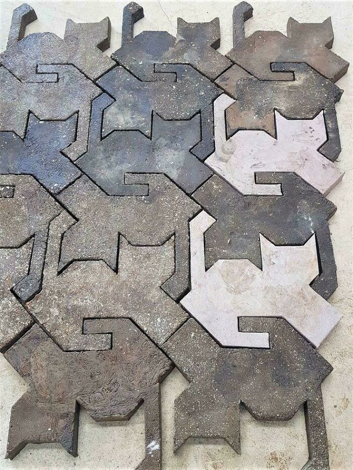 Creative brain dog-shaped paving stones pattern on ground