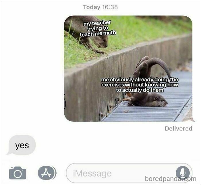 Meme about struggling with math shared in a wild message