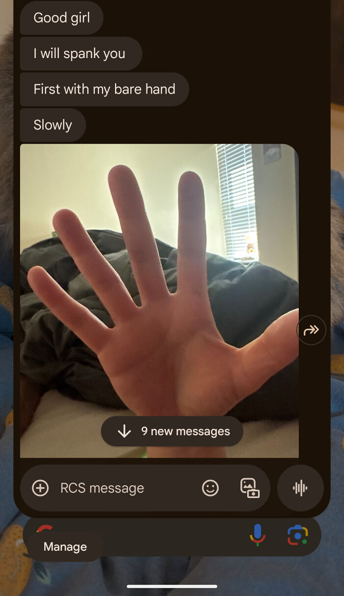 Screenshot of a message conversation showing a hand photo with a spanking message