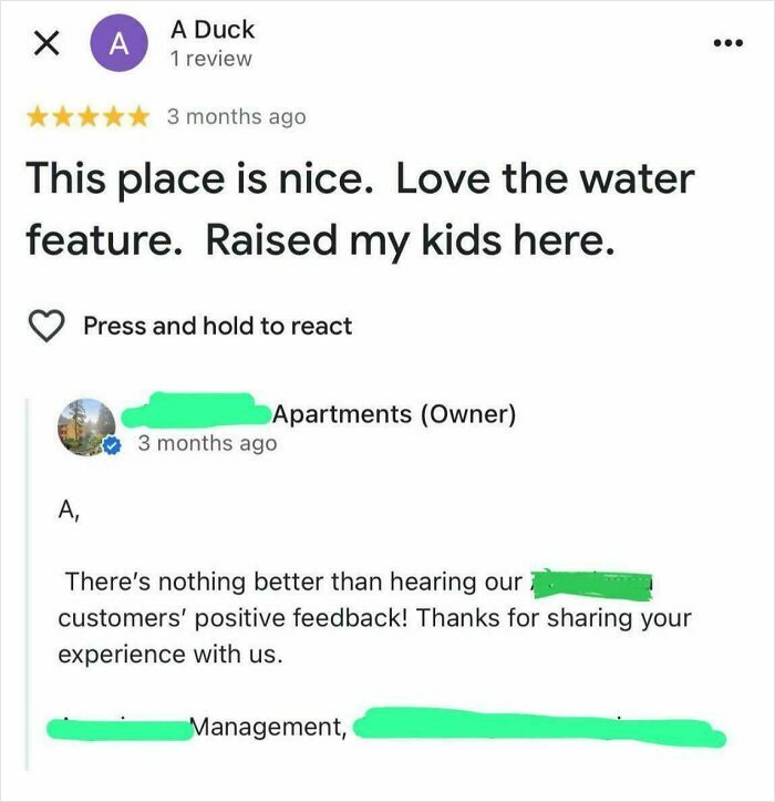 Funny online reviews: A Google review with the user name A Duck says, This place is nice. Love the water feature. Raised my kids here.