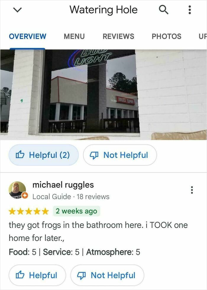A funny online review for Watering Hole mentioning frogs in the bathroom and taking one home.