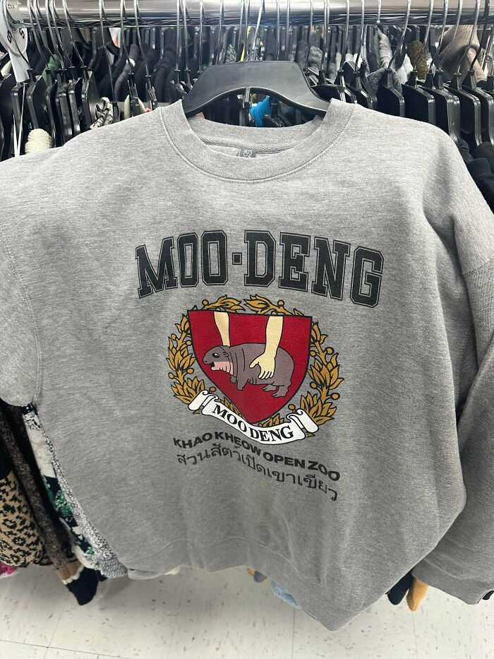 Bizarre Goodwill thrifted grey sweatshirt with Moo Deng text and animal logo