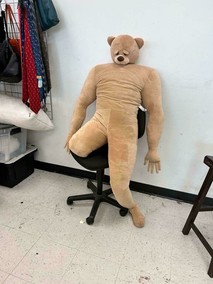 Large stuffed bear doll with human-like body sitting on an office chair from Goodwill