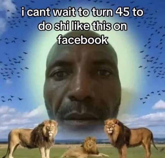 Man's face with lions and joke about turning 45 on Facebook
