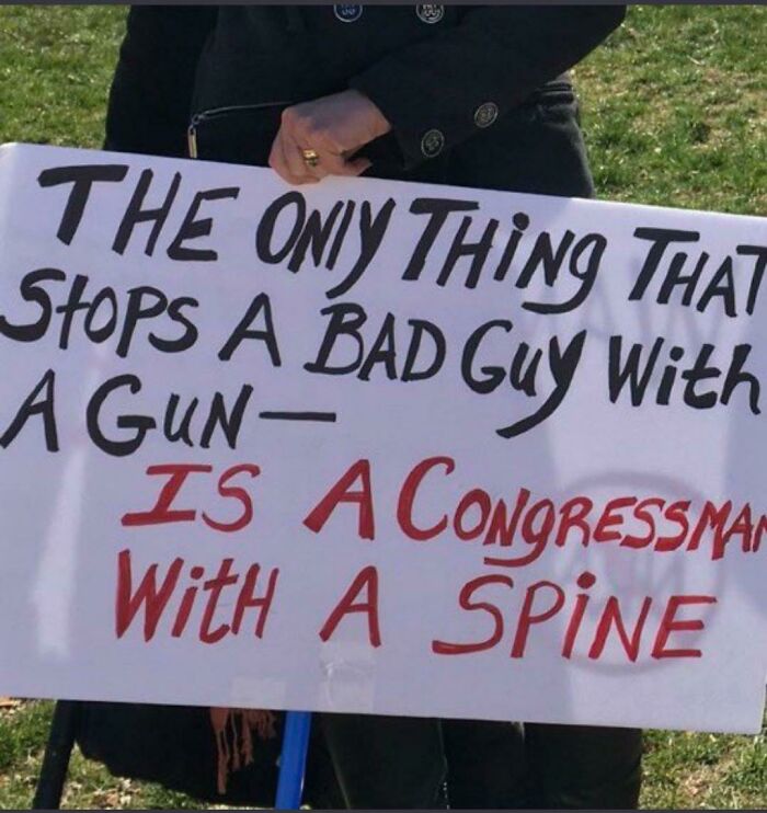Protest sign about bad guys with guns and congressmen with spines