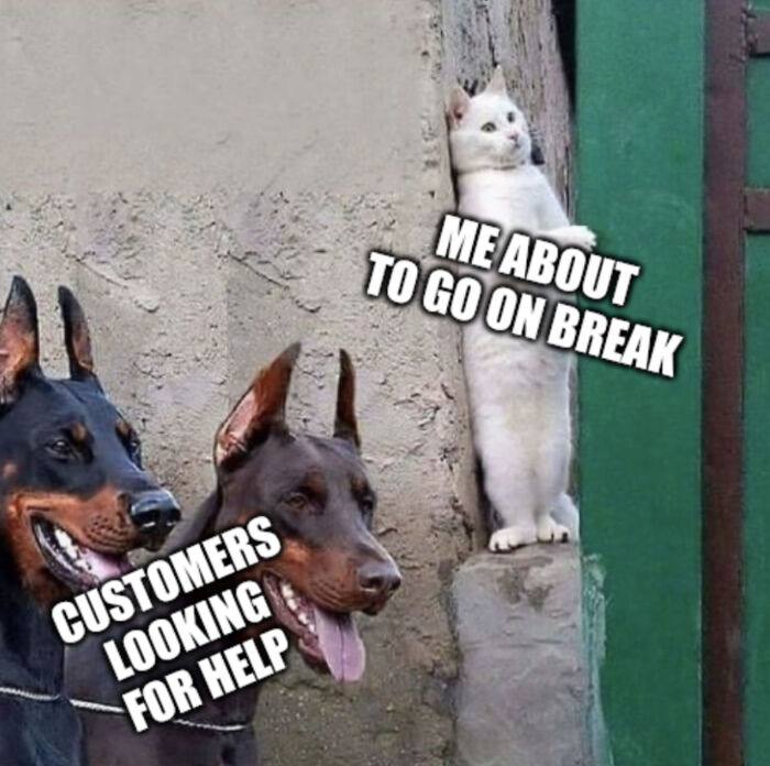 Cat hiding to go on break while customers look for help
