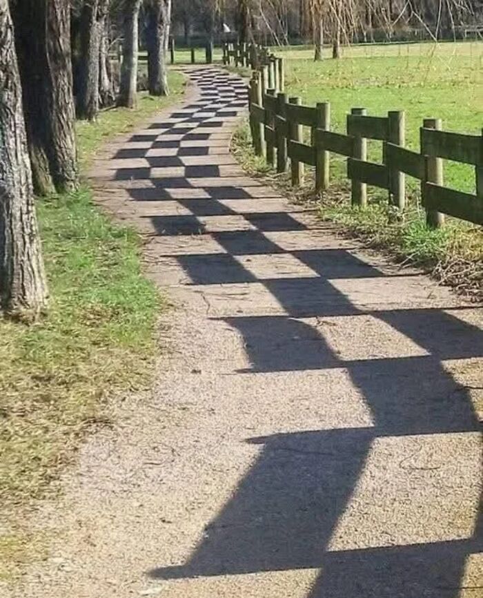 Checkerboard shadows on path creating visual illusion of design