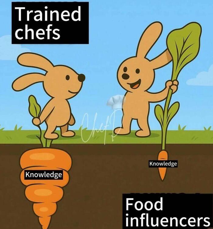 Cartoon comparing food knowledge of trained chefs vs food influencers with carrots