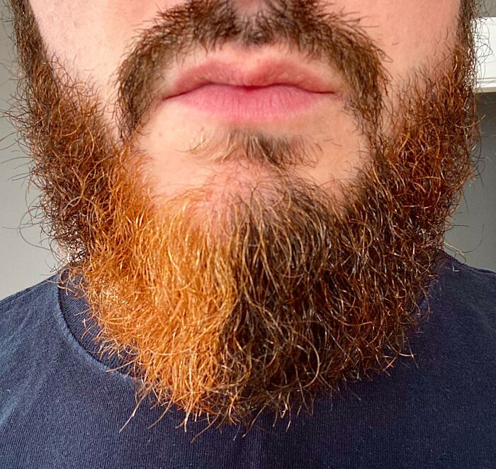 Close-up of a beard with two different natural hair colors