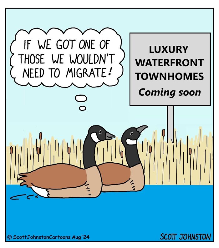 These Single-Panel Comics By Scott Johnston Deliver The Perfect Mix Of Clever Humor And Everyday Absurdity (50 New Pics)