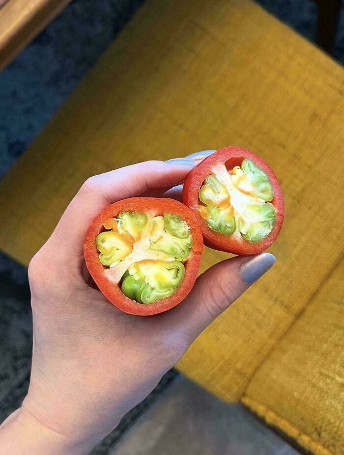 Closeup of a hand holding a fruit with green seeds inside showing freaky plant detail