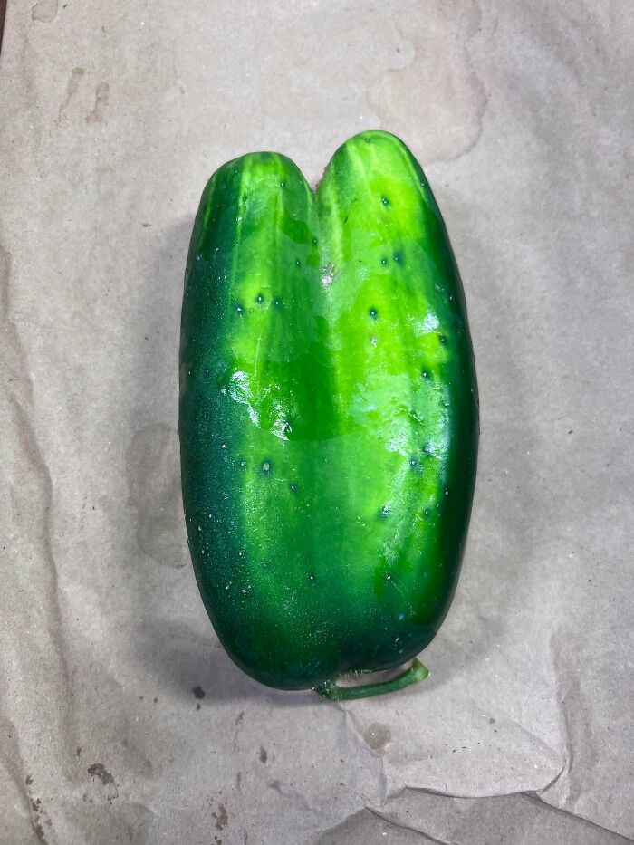 Unusually shaped freaky green cucumber split into two sections