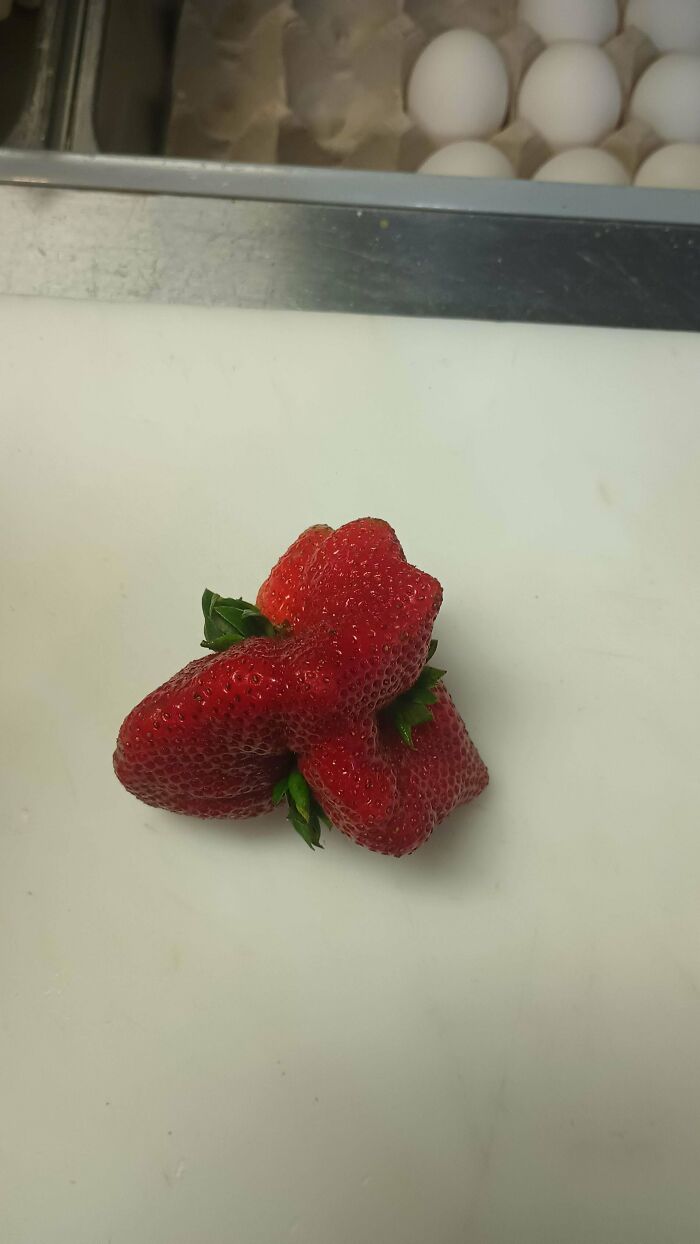 Unusually shaped strawberry fruit on white surface near eggs
