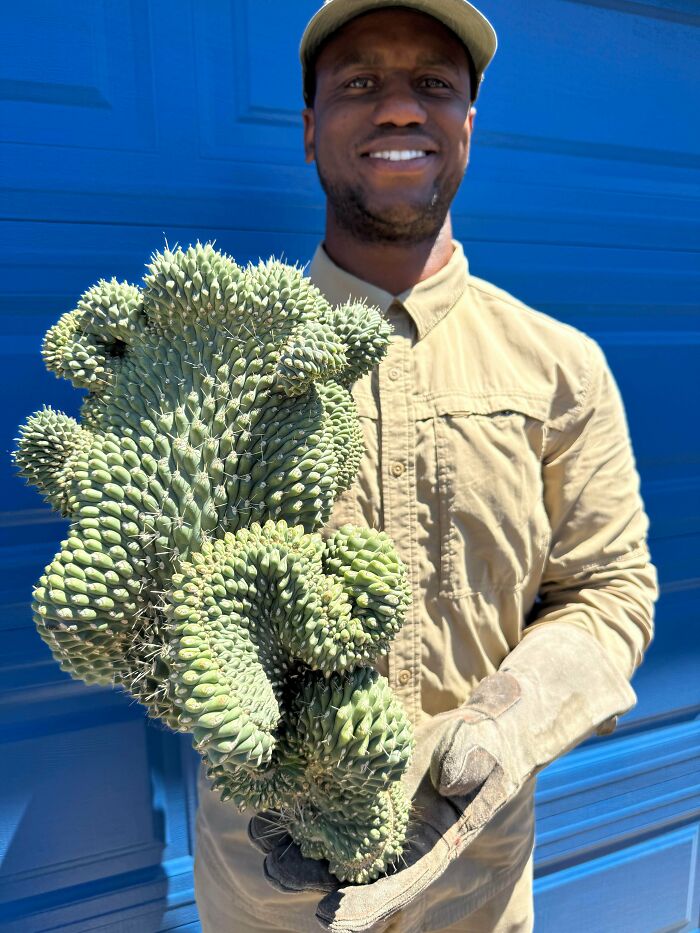 Man holding large, uniquely shaped cactus with spiky surface