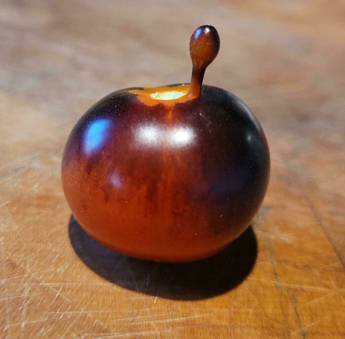 Odd plant fruit with a protruding stem resembling a droplet