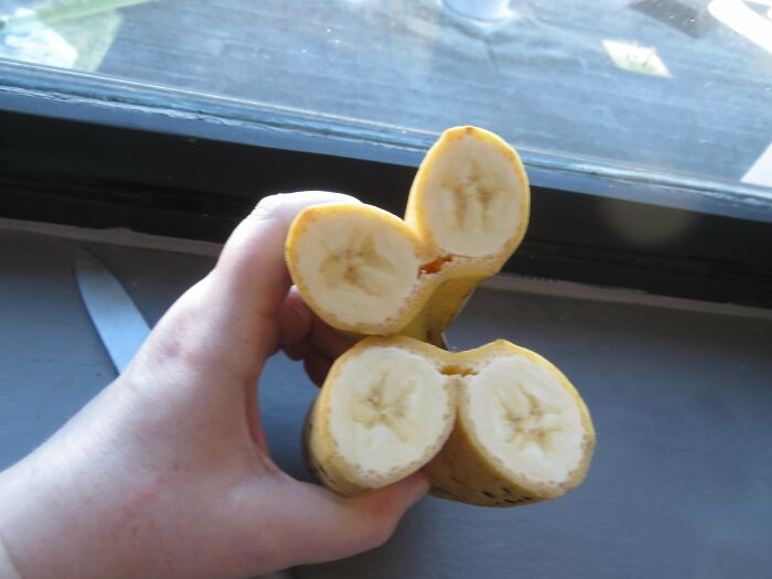 Triple banana with unusual three-way split, showing unique fruit interior