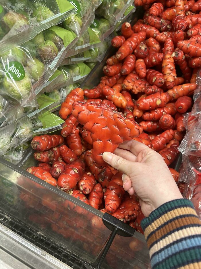 Person holding unusual large finger-like red root vegetable