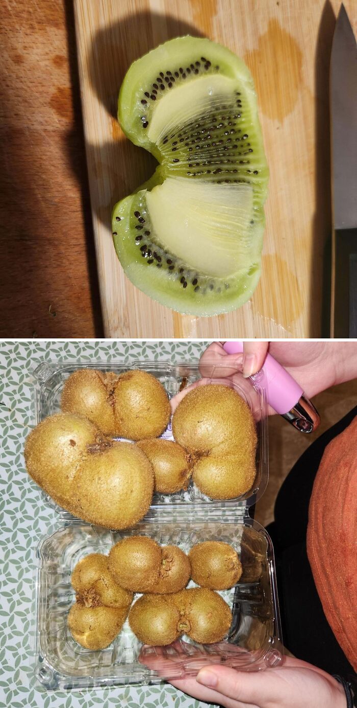 Kiwi fruit with a unique off shape cut open on a wooden board