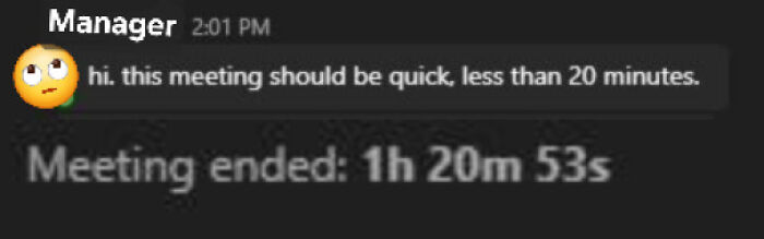 Screenshot of a manager saying a meeting should be quick followed by meeting length over an hour