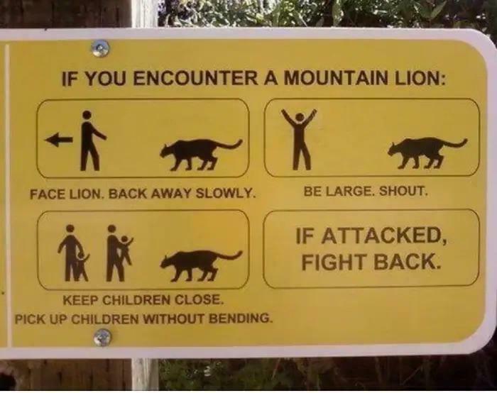 Funny mountain lion safety sign with humorous instructions to face lion and fight back if attacked